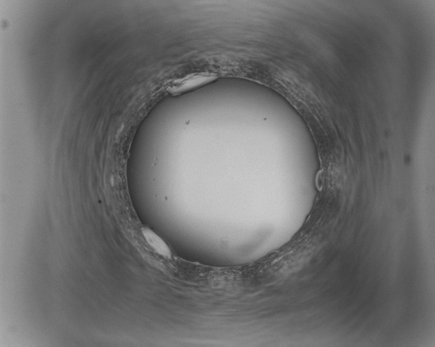 X0000081630865200701151422