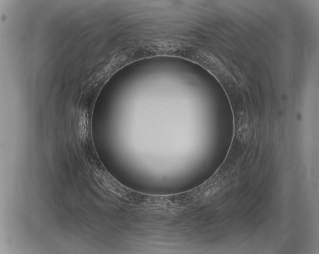 X0000081630866200701151422