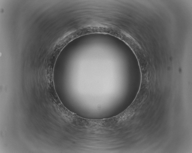 X0000081630870200701151422