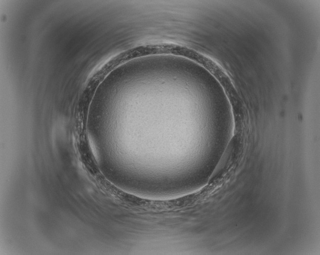 X0000081630871200701151422