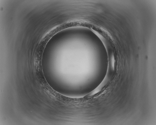 X0000081630872200701151422