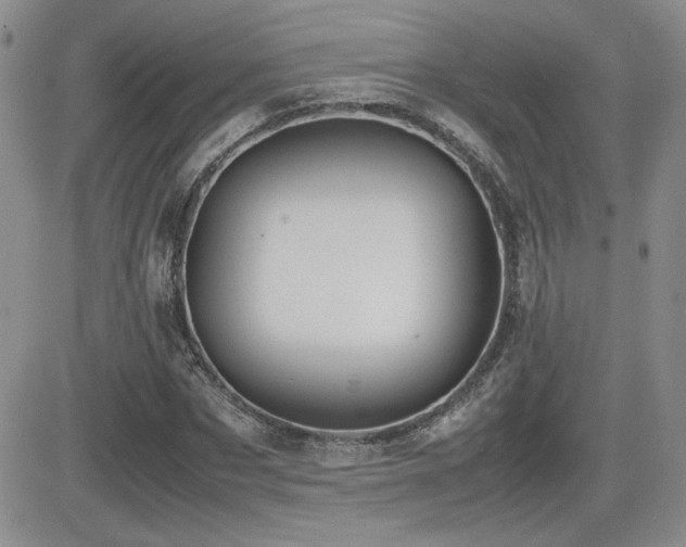X0000081630873200701151422