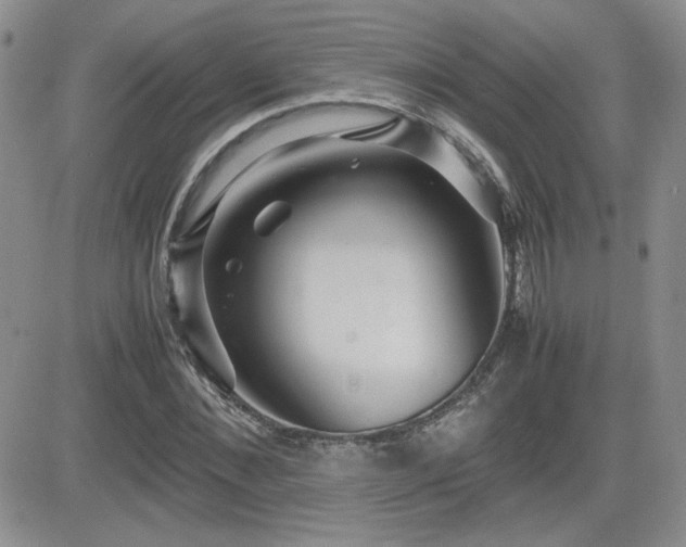 X0000081630876200701151422