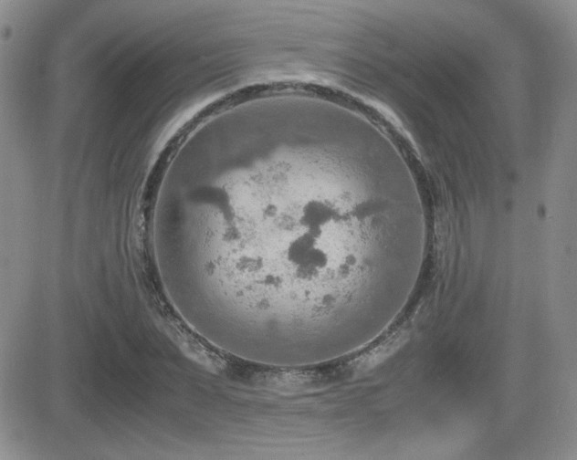 X0000081630879200701151422