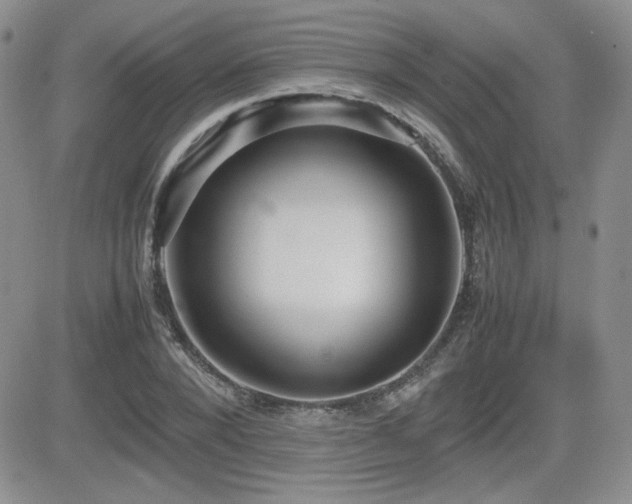 X0000081630880200701151422