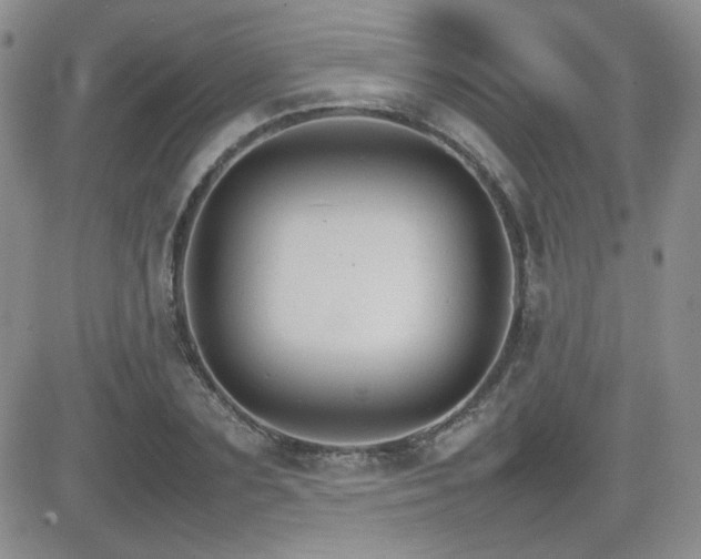 X0000081630883200701151422