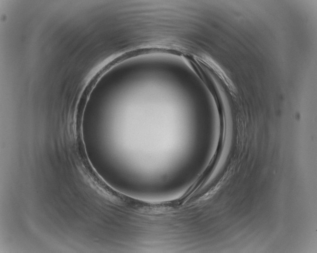 X0000081630884200701151422