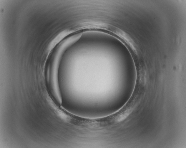 X0000081630885200701151422