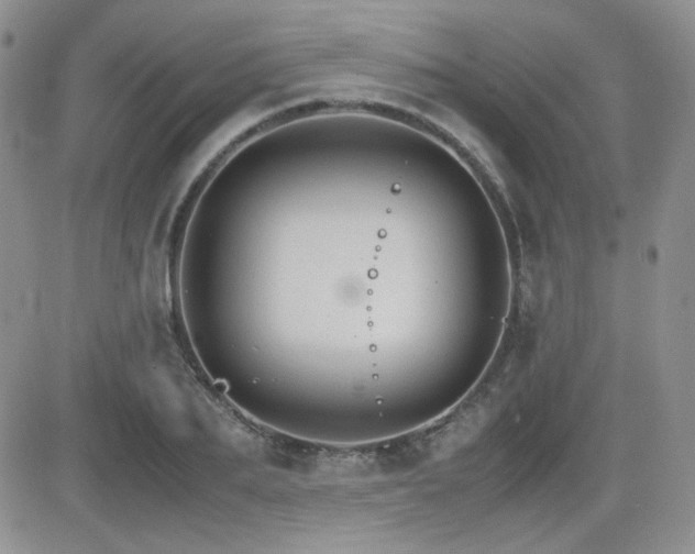 X0000081630887200701151422