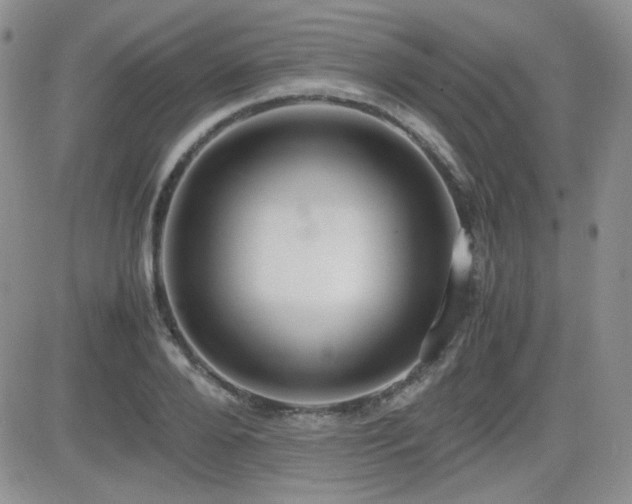 X0000081630888200701151422