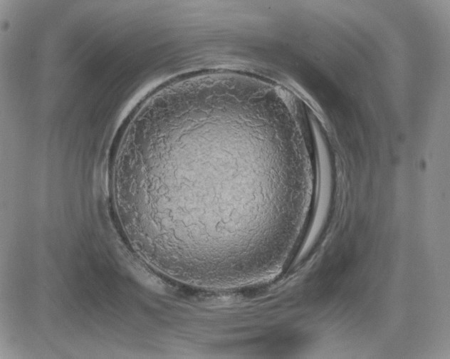 X0000081630891200701151422