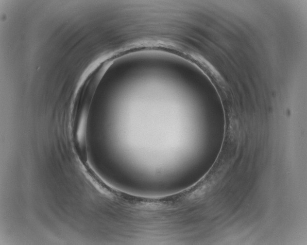 X0000081630894200701151422