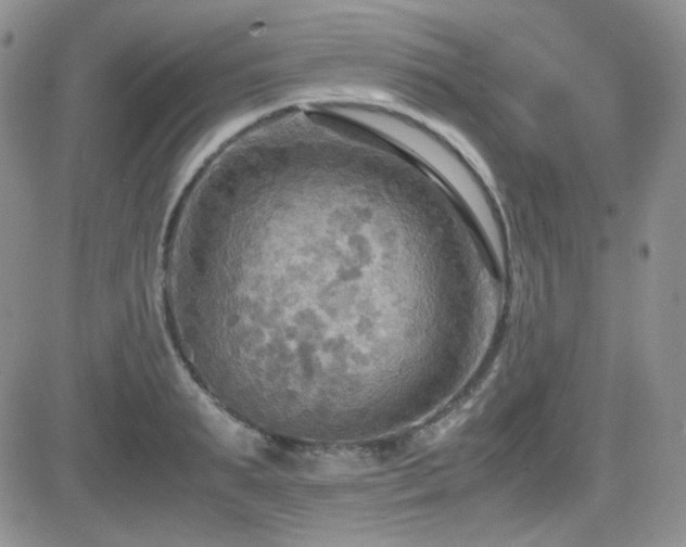 X0000081630895200701151422