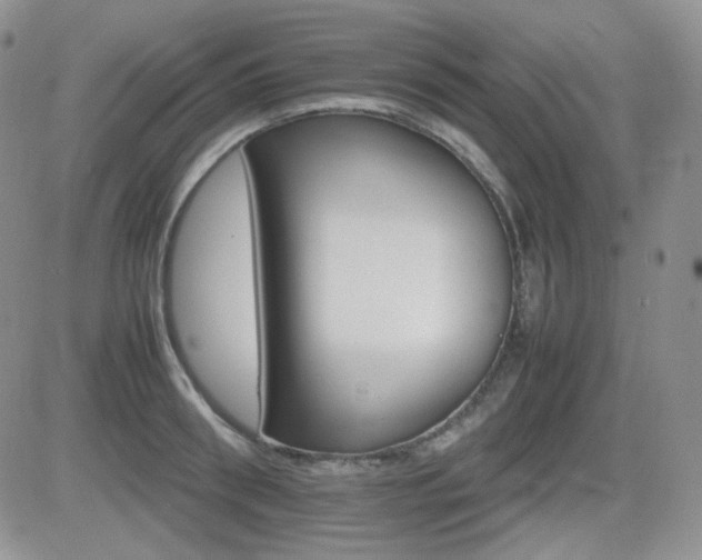 X0000081630898200701151422