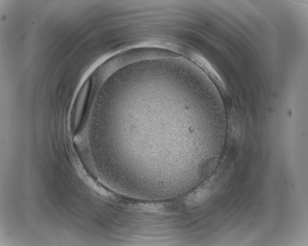 X0000081630900200701151422