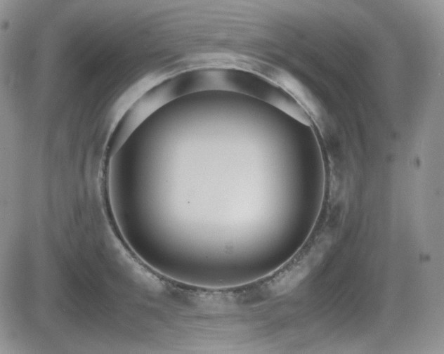 X0000081630901200701151422