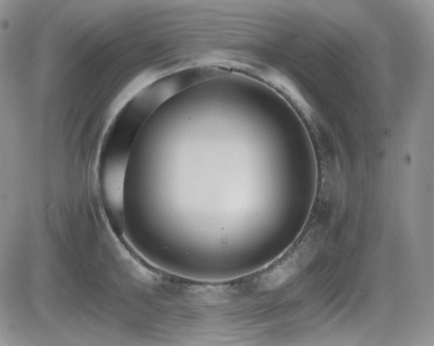 X0000081630902200701151422