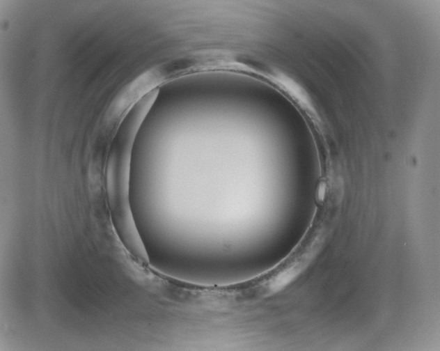 X0000081630905200701151422