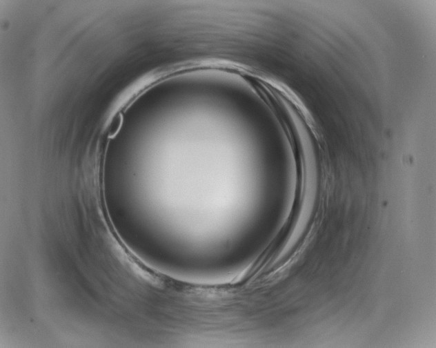 X0000081630910200701151422