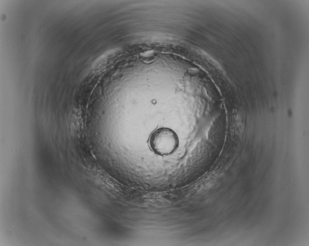 X0000081630918200701151421