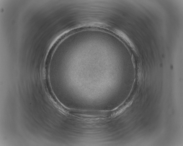 X0000081630924200701151421