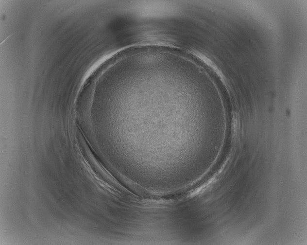 X0000081630925200701151421