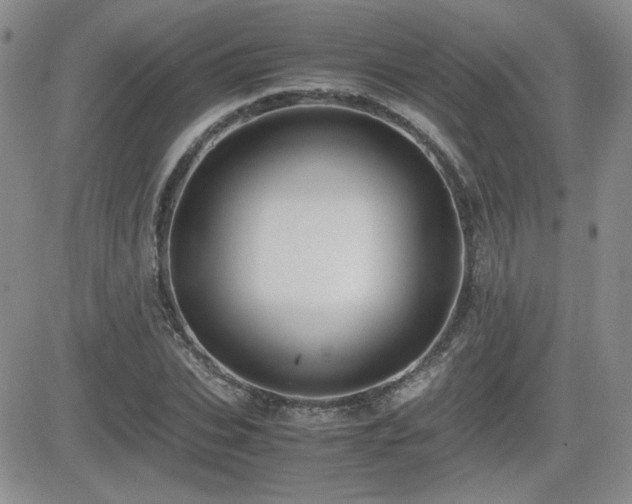 X0000081630927200701151421