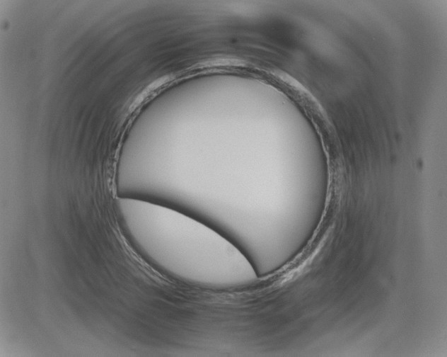 X0000081630929200701151421