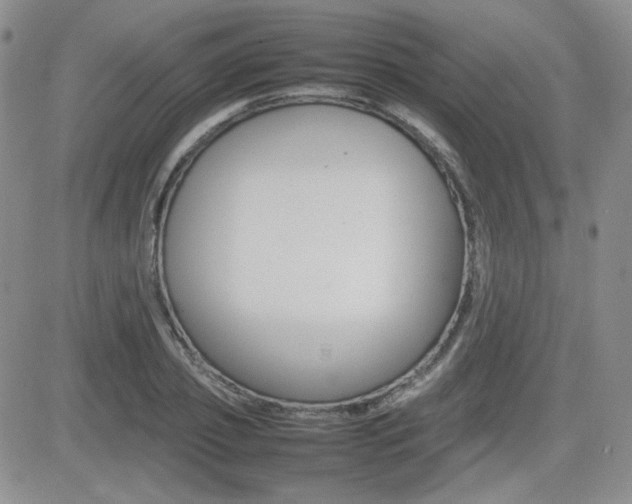 X0000081630933200701151421