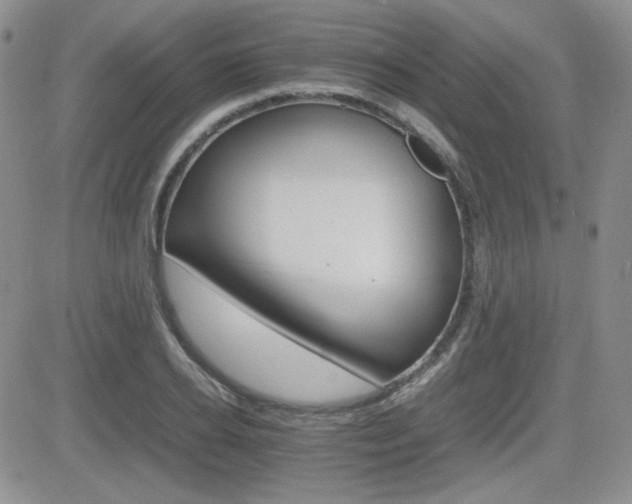 X0000081630934200701151421