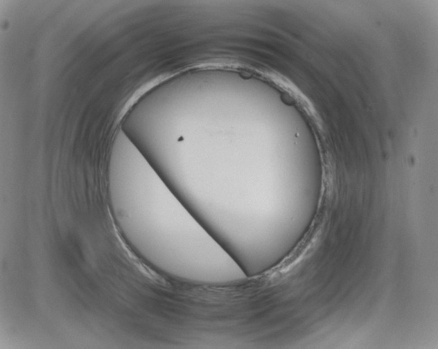 X0000081630945200701151421