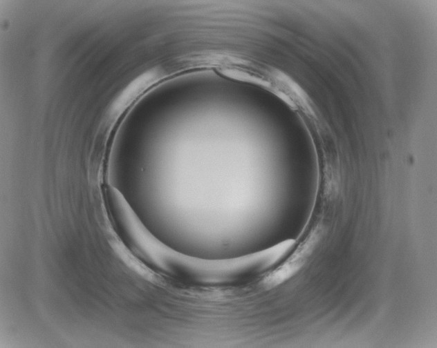 X0000081630946200701151421