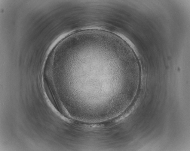 X0000081630949200701151421