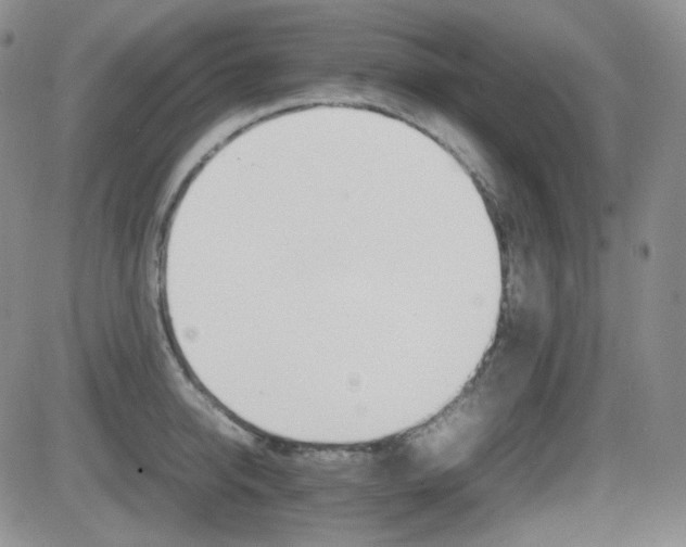 X0000081630950200701151421