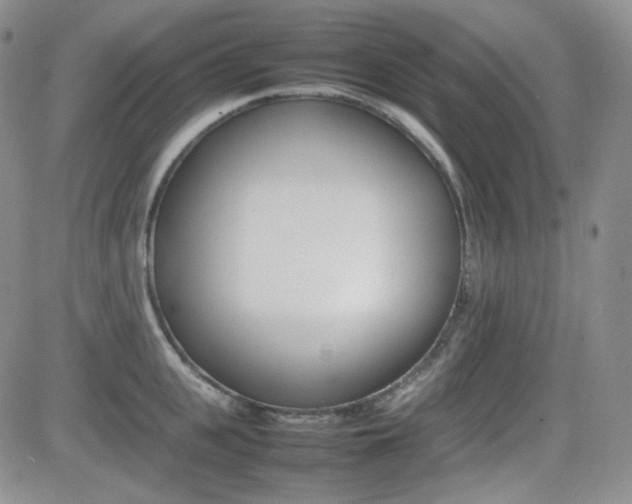 X0000081630951200701151422