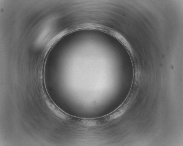 X0000081630954200701151422