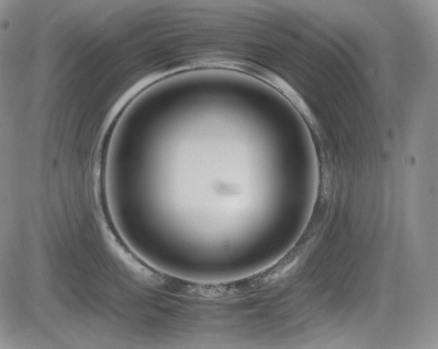 X0000081630955200701151422