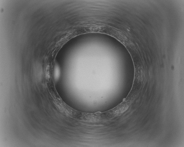 X0000081630962200701151421