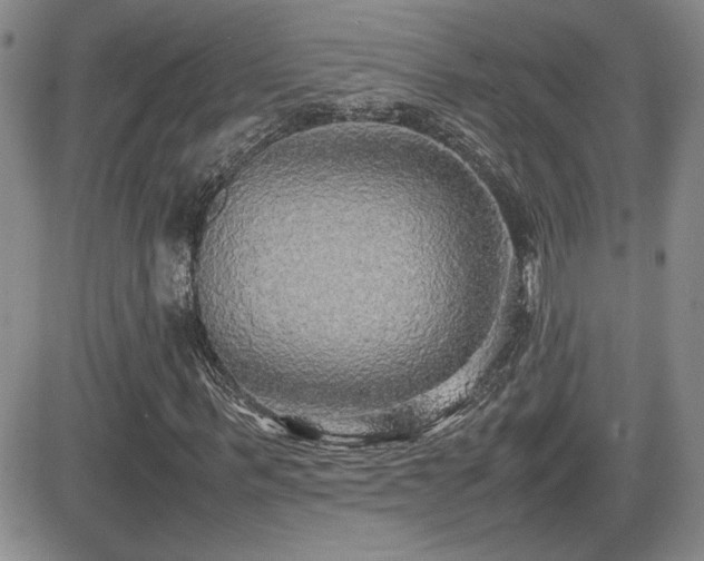 X0000081630963200701151421