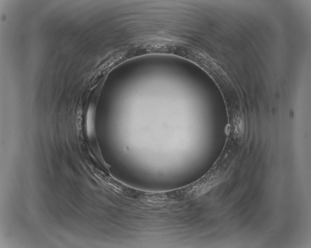 X0000081630964200701151421