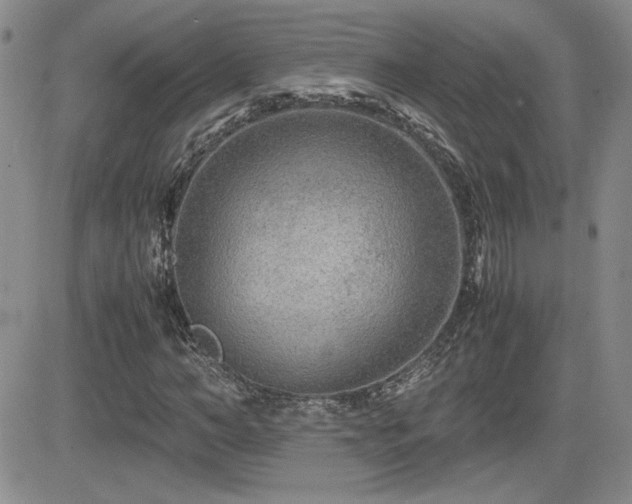 X0000081630966200701151421