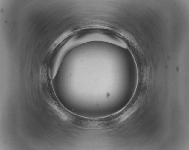 X0000081630969200701151421