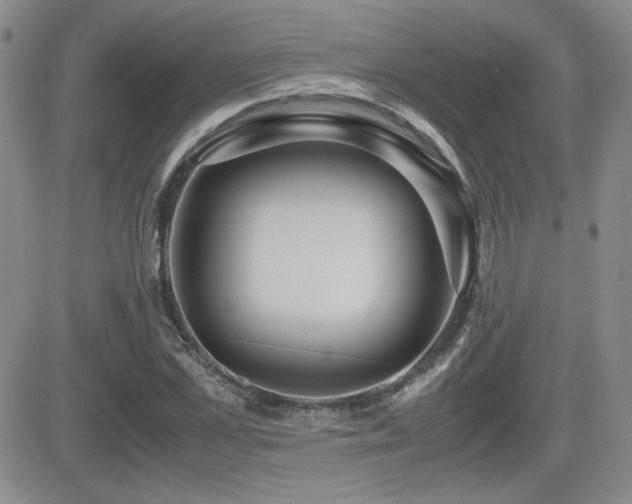 X0000081630973200701151421