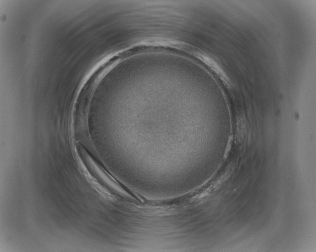 X0000081630976200701151421