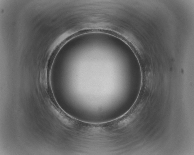 X0000081630982200701151421