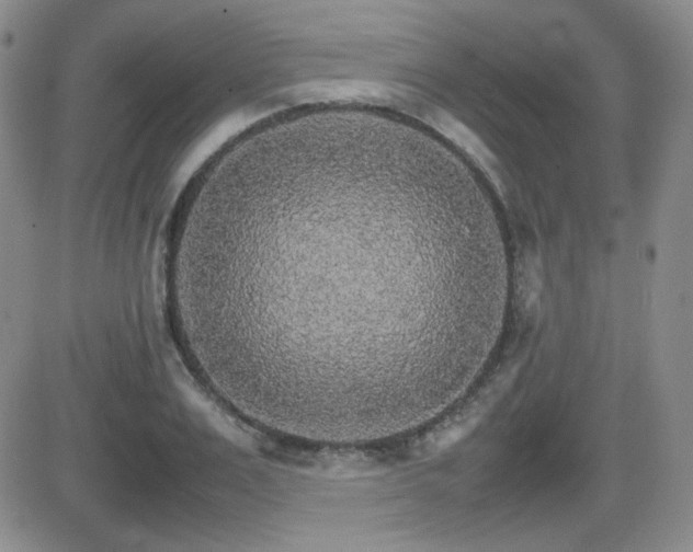 X0000081630983200701151421