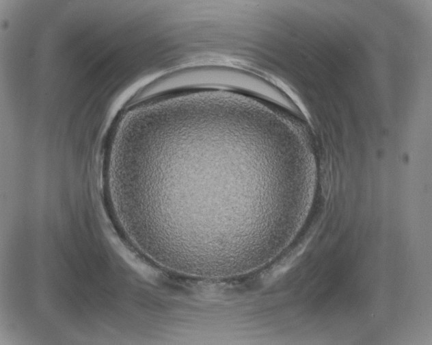 X0000081630987200701151420