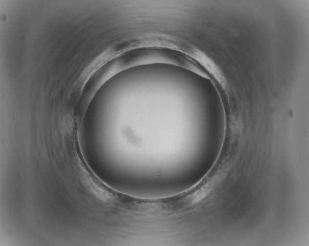 X0000081630993200701151420