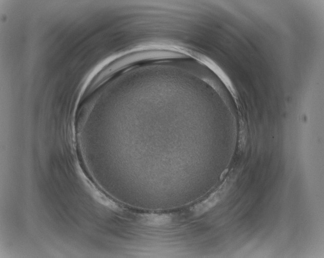 X0000081630996200701151420