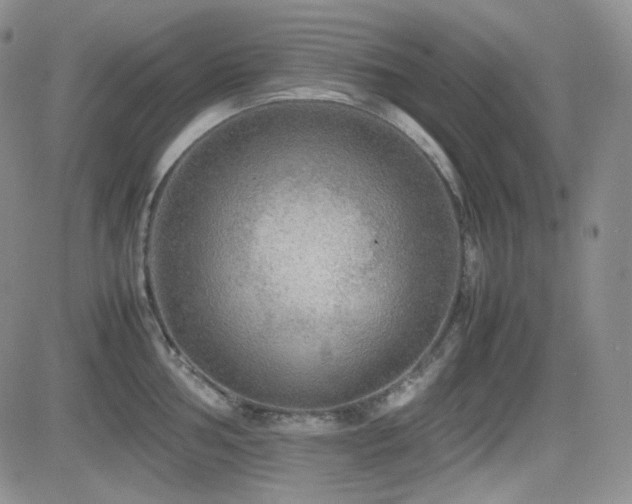 X0000081631002200701151420